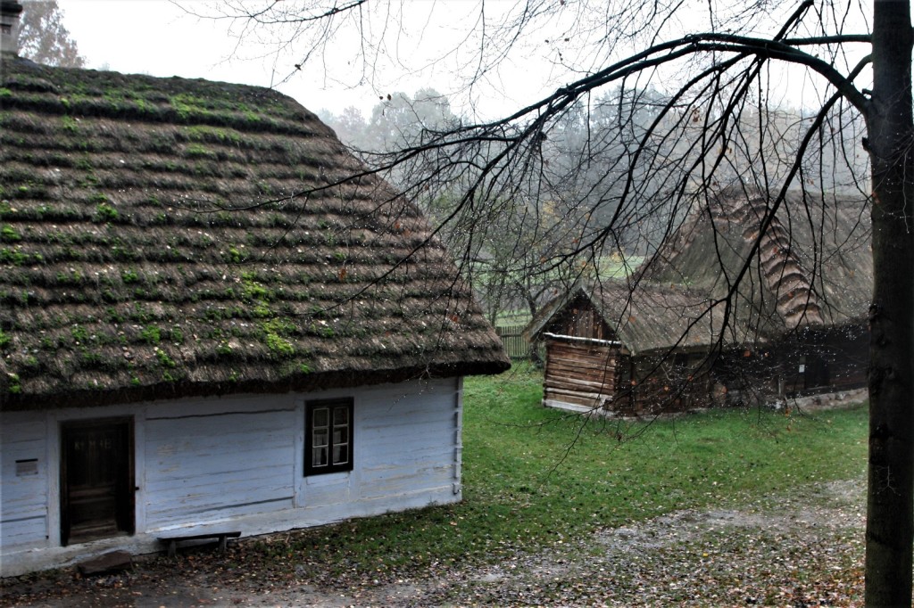 Skansen prezentuje zabudowania wiejskie ze środkowej części Polski